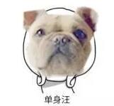 龍盛傳媒又(yòu)出新作，據說是鑽石和狗引起的，9月末愛奇藝獨家上映